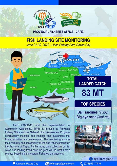 juan s888org|Fisherfolk Registration System.